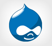 Drupal Development